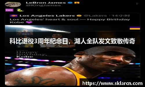 jn体育