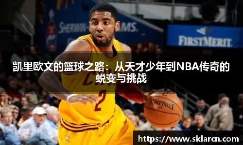jn江南体育登录入口