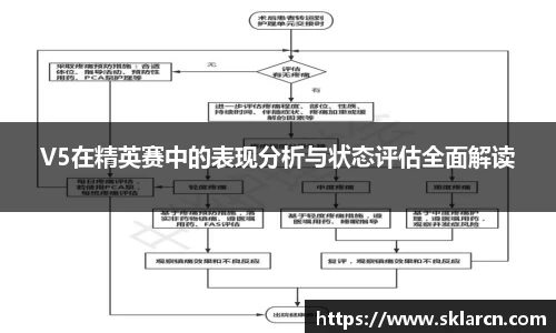 V5在精英赛中的表现分析与状态评估全面解读